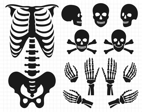 Download 419+ Skeleton SVG Cut File for Cricut Machine